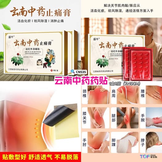 CN535 云南中药药贴